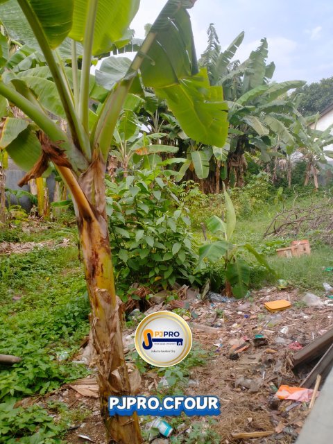 Dijual Tanah sudah Dipagar Keliling di Jalan Kartini Bekasi