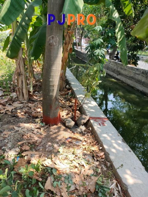 Dijual Lahan Padat Penduduk di Sungai Kendal Rorotan Jakarta Utara