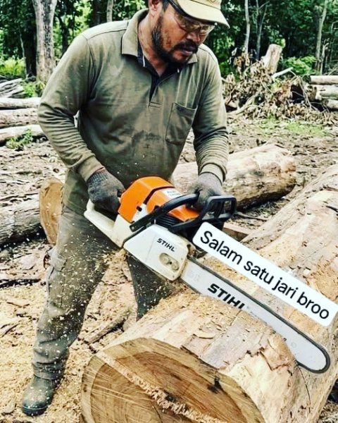 Jasa Tebang Pohon Cirebon 085189748826