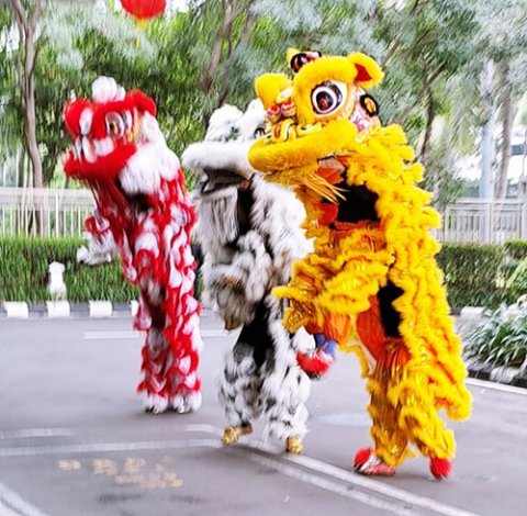 Barongsai Liong Jakarta Barat