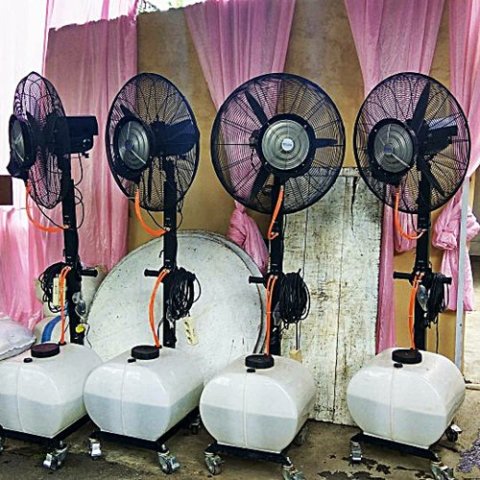 Sewa AC Genset Kipas Angin