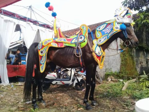 Tari Sufi Tanura Pak Jasim