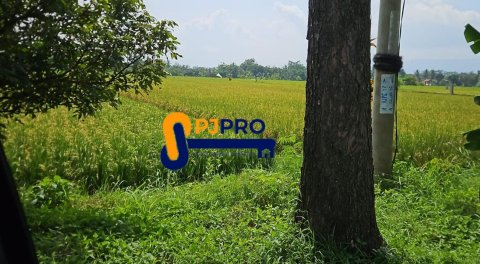 Dijual Lahan Siap Pakai Cocok untuk Gudang Pabrik di Cianjur Jawa Barat