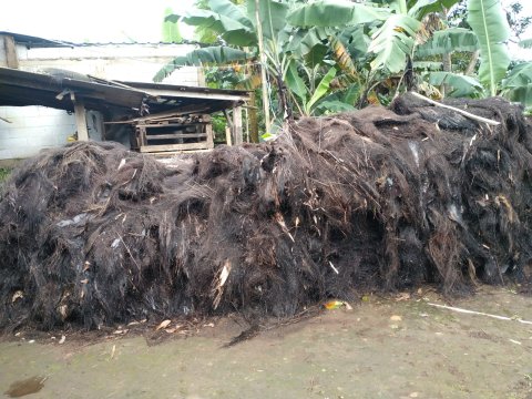JUAL IJUK RESAPAN & KAKABAN || ANDA PESAN , KAMI ANTAR