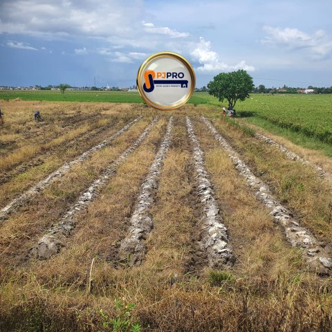 Dijual Lahan Siap Pakai Pinggir Jalan Kedung Jaya Bekasi