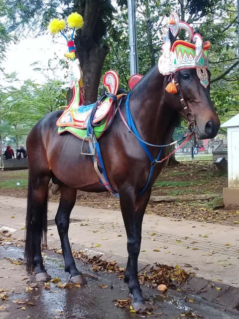 Kuda Renggong Bandung Raya