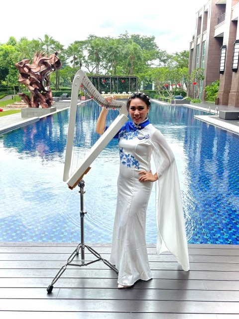 Musik Harpa Biola Cheer Production