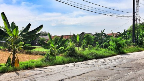 Dijual Tanah Posisi Strategis dengan Area Bebas Banjir di Babelan Bekasi