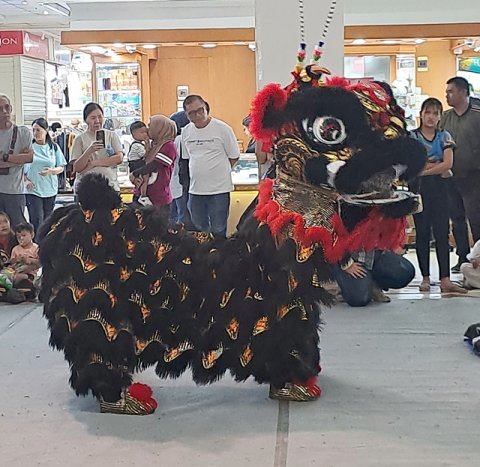 Sewa Barongsai Jakarta