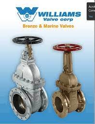 WILLIAMS VALVE  PARTS - TIARASAKTI IND